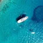 Sail on the crystal clear adriatic sea